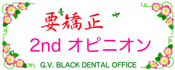 Ô,\,z,FAQ,G.V. BLACK DENTAL OFFICE,GVBDO