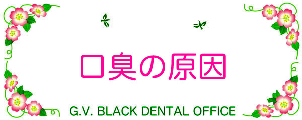 L,,,a,,,mɎ,Õ@,,摜,G.V. BLACK DENTAL OFFICE ,GVBDO