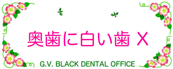 ^{,^{h,,fbg,,ݍ킹,,,,É,,,G.V. BLACK DENTAL OFFICE,GVBDO