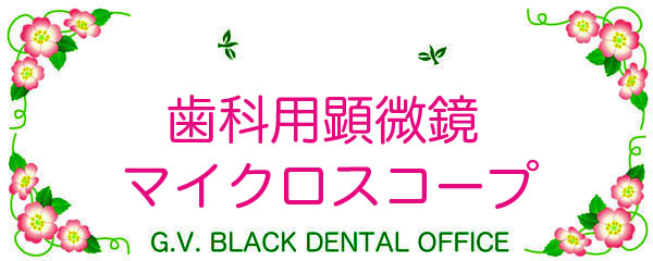 ȗp,}CNXR[v,bg,i,ȋZHp,,Jƈ,Ӌ`,GVBDO, G.V. BLACK DENTAL OFFICE