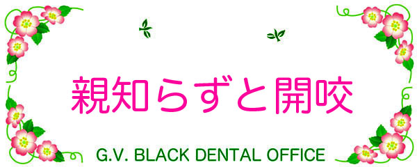 {֐ߏ,ݍ킹,a,em炸,I[voCg,J,,,Õ@,,GVBDO, G.V. BLACK DENTAL OFFICE