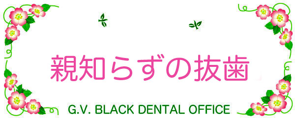 em炸,ɂ,,,,,,摜,,GVBDO,G.V. BLACK DENTAL OFFICE