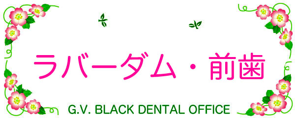 ,K,o[_,Ƃ,g,R,摜,ǂ,,,, G.V. BLACK DENTAL OFFICE,GVBDO