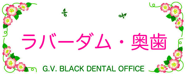 ,K,o[_,Ƃ,g,R,摜,ǂ,,,, G.V. BLACK DENTAL OFFICE,GVBDO