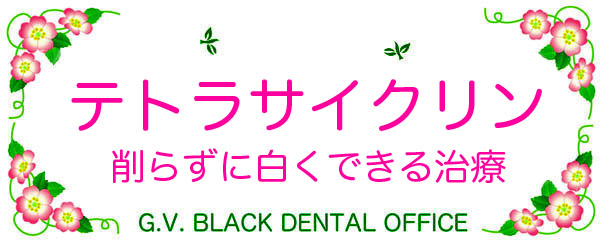 egTCN,F,zCgjO,Õ@,摜,  ,G.V. BLACK DENTAL OFFICE,GVBDO