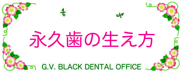 iv, l̎,鎞,,,,,摜,ʐ^,G.V. BLACK DENTAL OFFICE, GVBDO