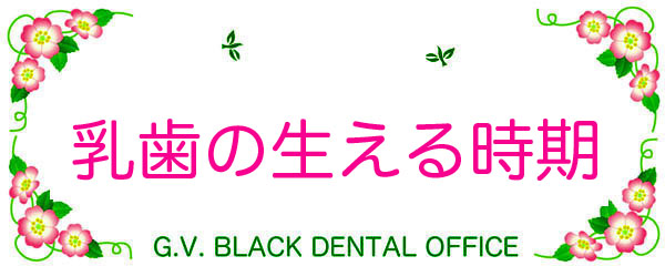 q̎,,,,,,,Sz,s,΍,摜,{,ʐ^, GVBDO, G.V. BLACK DENTAL OFFICE