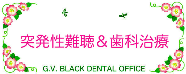 ˔,,{֐ߏ,XgX,,Õ@,,GVBDO,G.V. BLACK DENTAL OFFICE,GVBDO