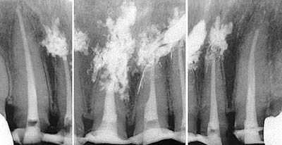 Ȉt,,,x,,,ȋZH,GVBDO,G.V. BLACK DENTAL OFFICE,